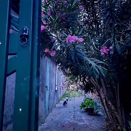Homestay L'encanto De Luna -una Casa Autentica Comacchiese *