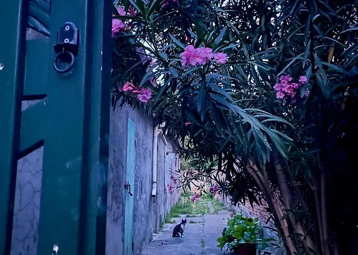 Δωμάτια σε οικογενειακή κατοικία L'encanto De Luna - *